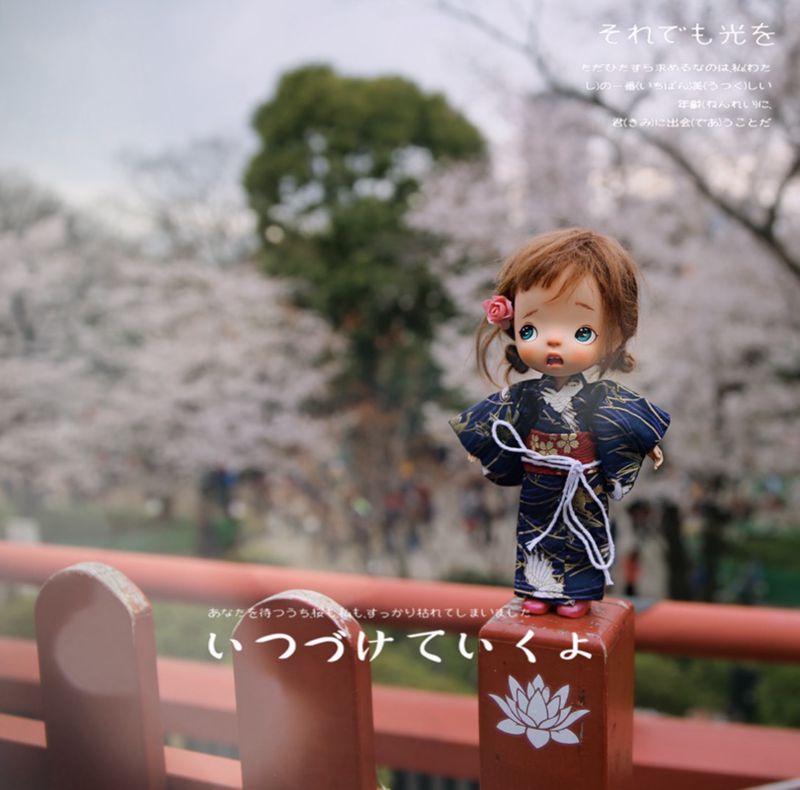 1/8 1/6 1/4 1/3 BJD Japanese k - Japanese Lifestyle Shoes review and price